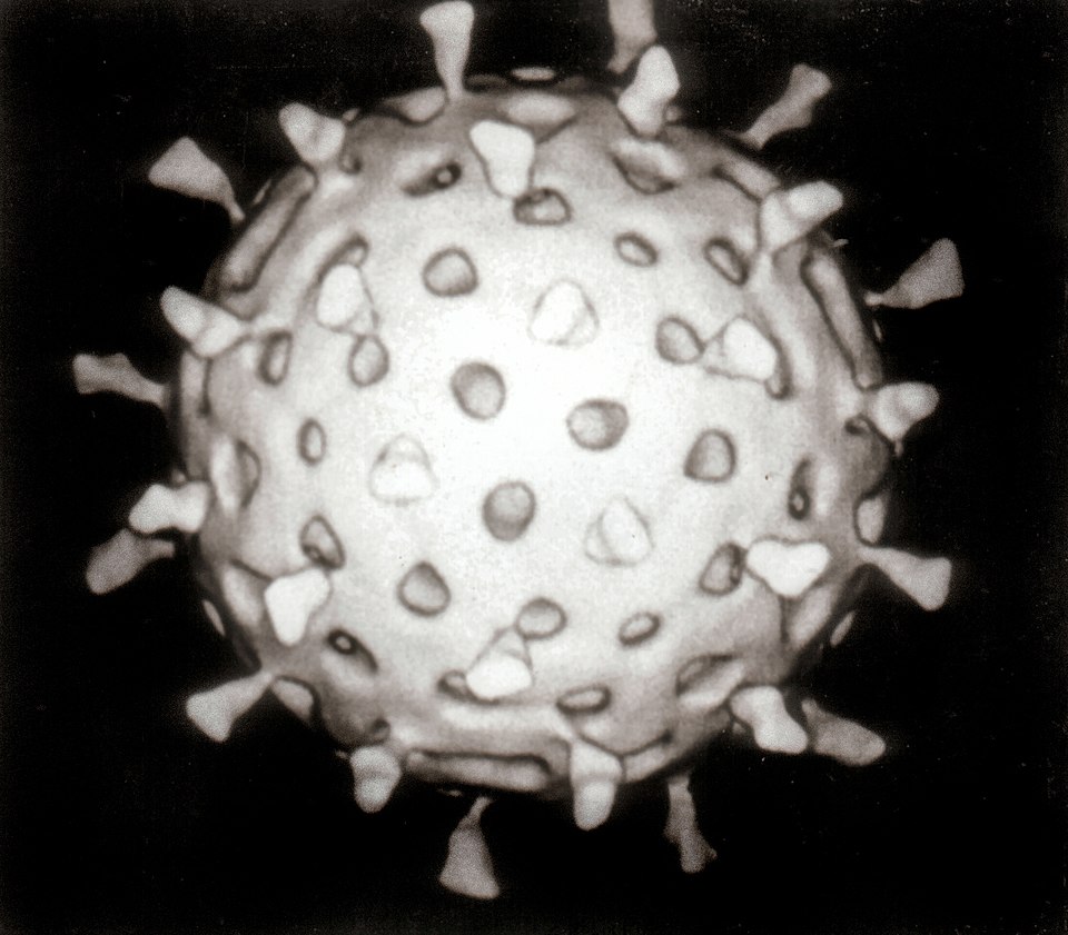 Rotavírus: Rotavirus Reconstruction.jpg
