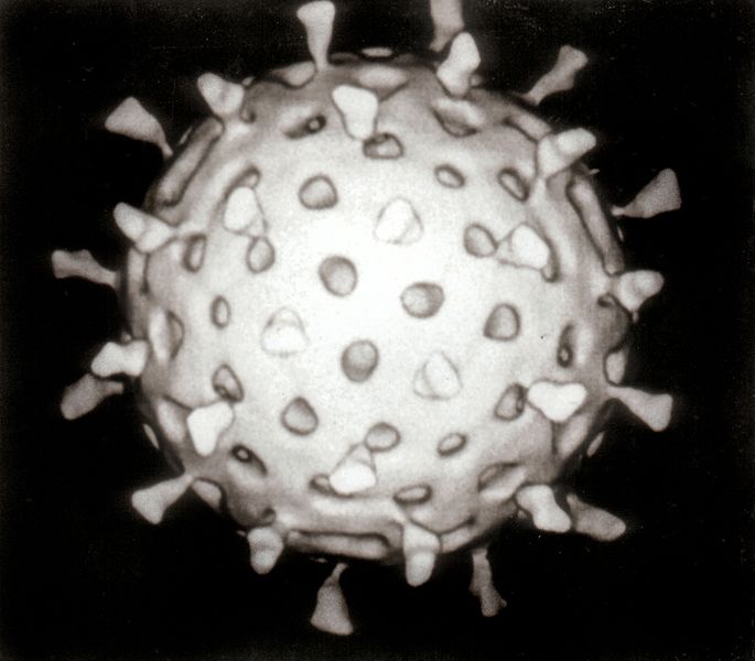 Rotavírus: Rotavirus !.jpg